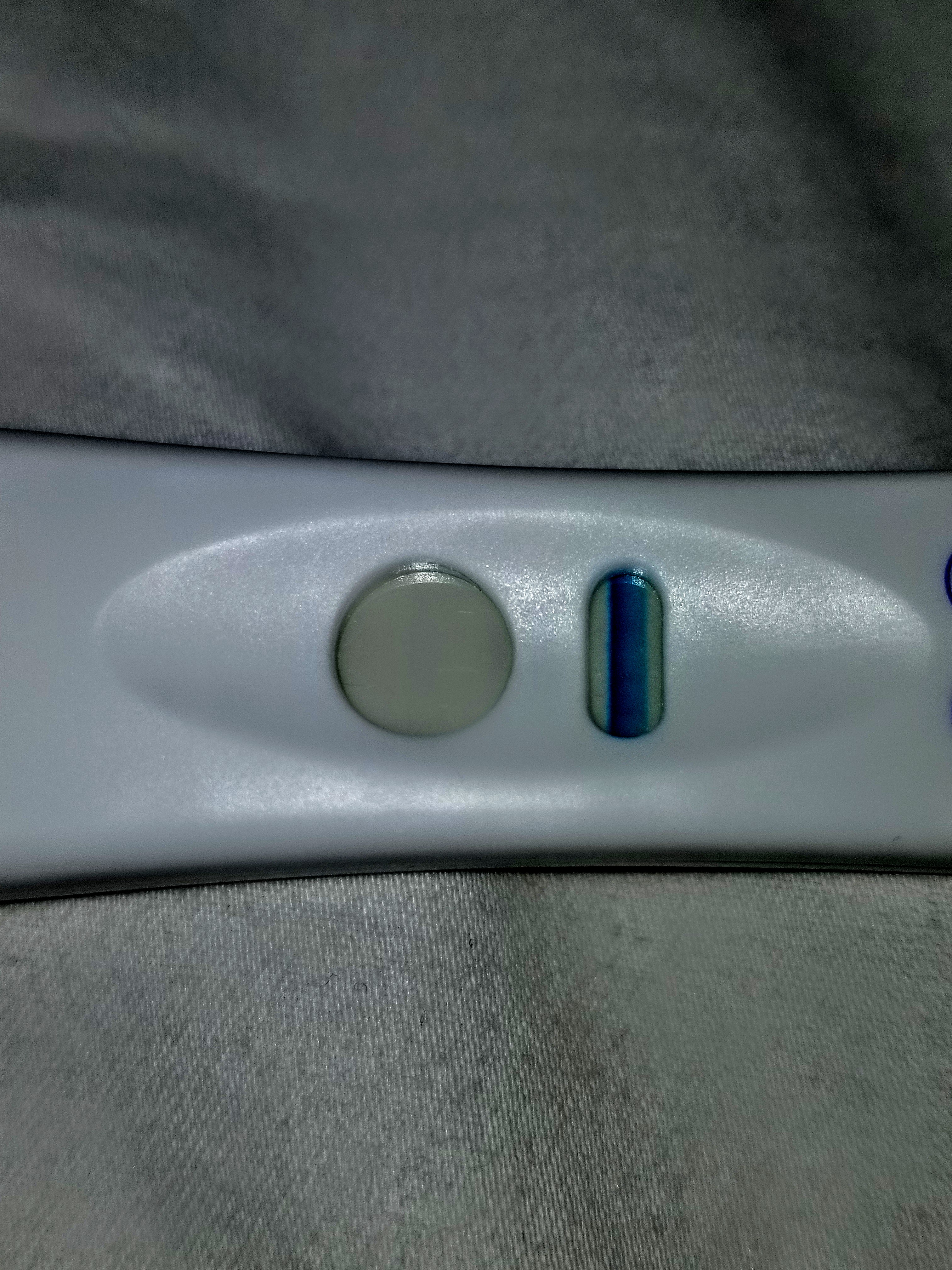 Home Pregnancy Test