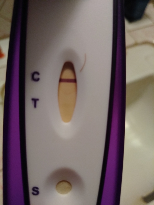 Home Pregnancy Test