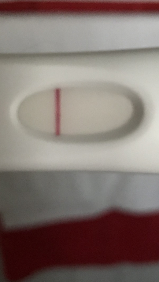 Home Pregnancy Test