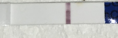 Home Pregnancy Test