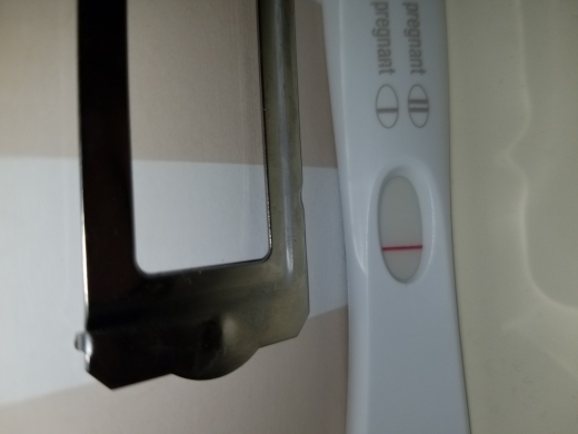 Home Pregnancy Test