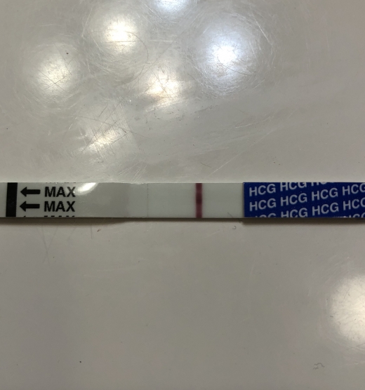 Home Pregnancy Test, FMU