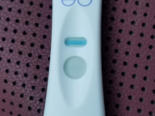 Home Pregnancy Test