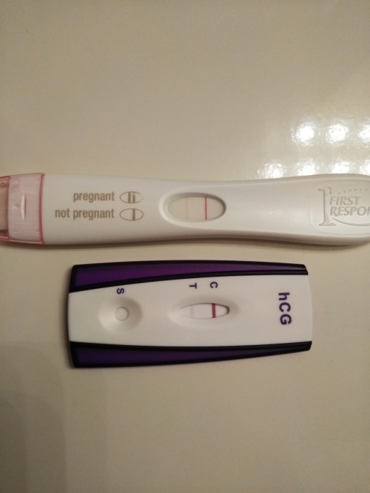 Result of early pregnancy diagnosis using PregnaDrop. (A) After