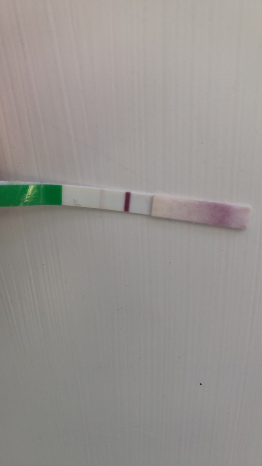 Generic Pregnancy Test, 12 Days Post Ovulation, FMU