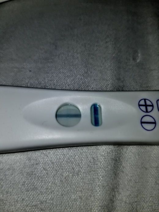 Home Pregnancy Test