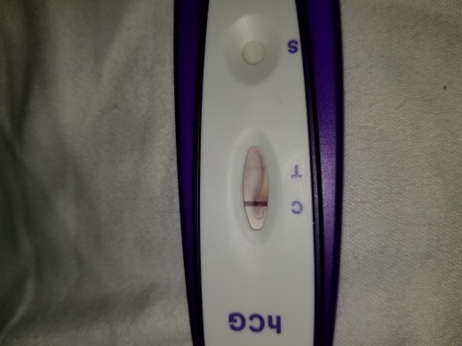 Home Pregnancy Test