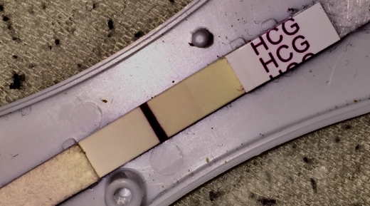 New Choice Pregnancy Test