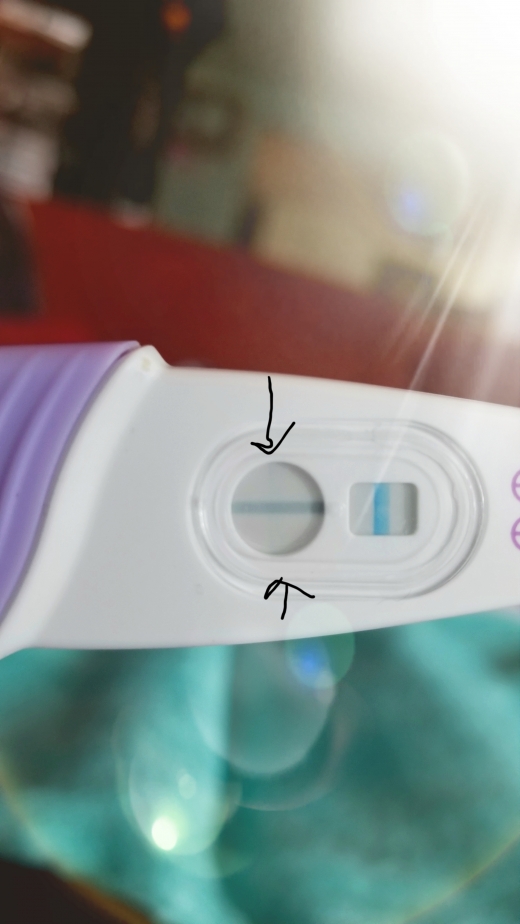 e.p.t. Pregnancy Test, FMU