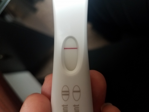 First Response Early Pregnancy Test