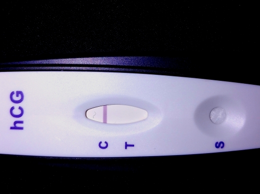 Home Pregnancy Test