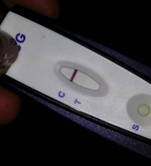 First Signal One Step Pregnancy Test, 8 Days Post Ovulation, FMU