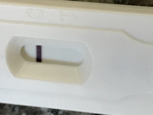 New Choice Pregnancy Test