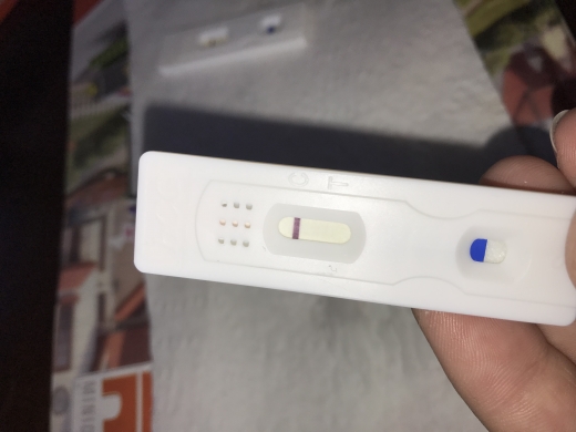 Home Pregnancy Test