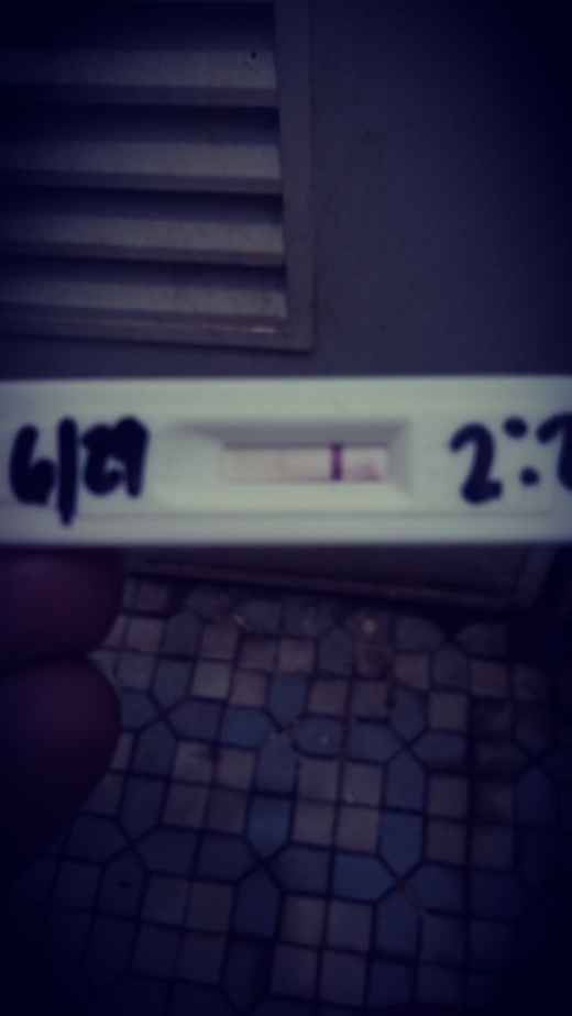 Home Pregnancy Test
