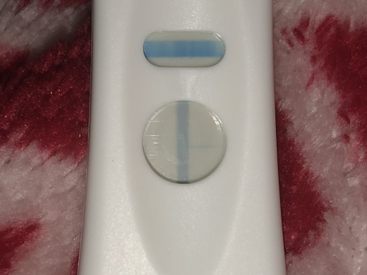 Home Pregnancy Test