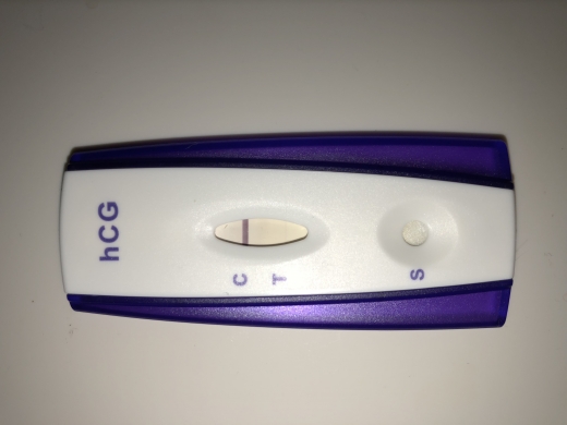 Home Pregnancy Test