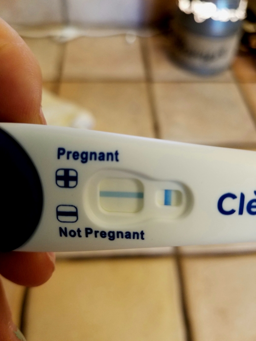 Home Pregnancy Test