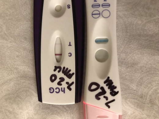 Home Pregnancy Test, FMU