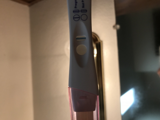 Home Pregnancy Test