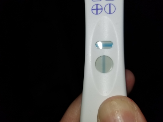 Home Pregnancy Test