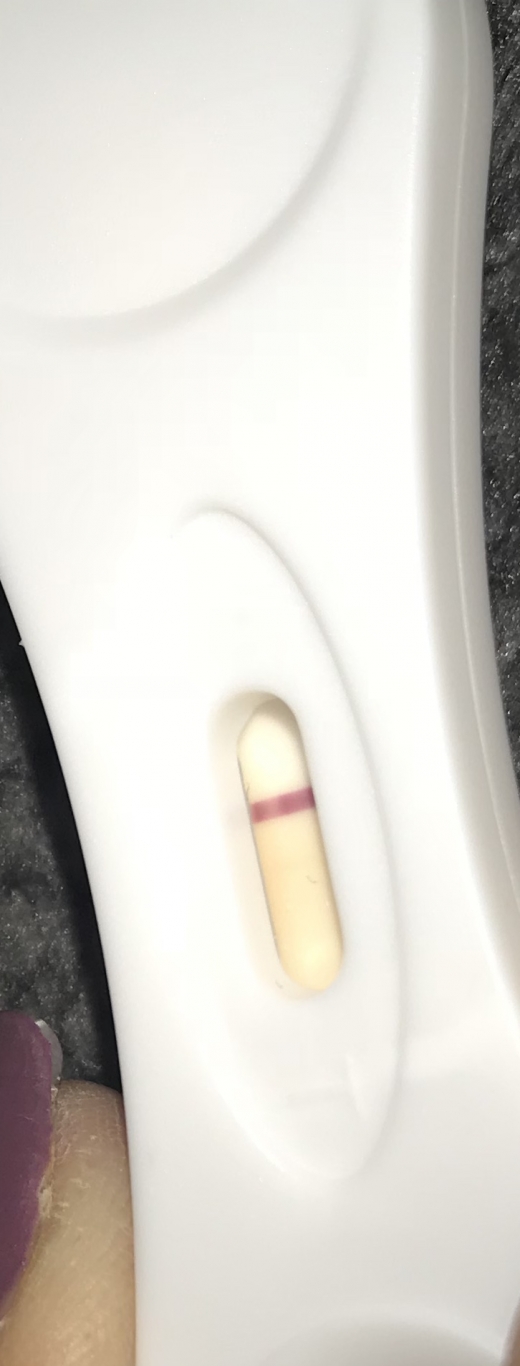 Home Pregnancy Test