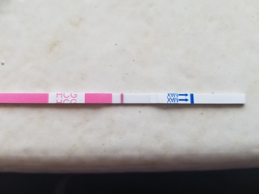 Clinical Guard Pregnancy Test, FMU