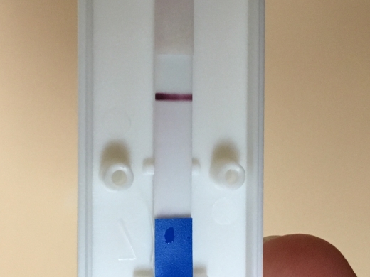 New Choice Pregnancy Test, 11 Days Post Ovulation, FMU, Cycle Day 21