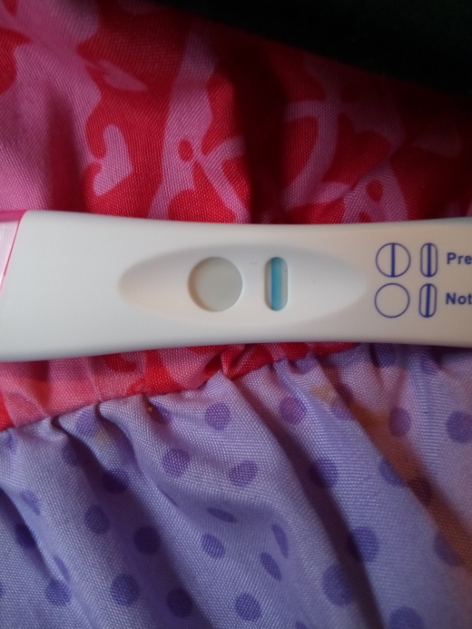 Generic Pregnancy Test, FMU