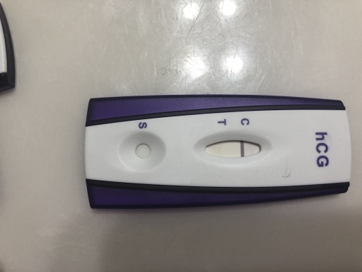 Home Pregnancy Test