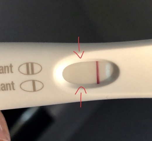 First Response Early Pregnancy Test