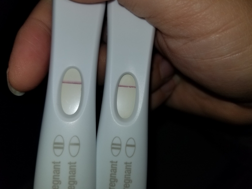 Home Pregnancy Test