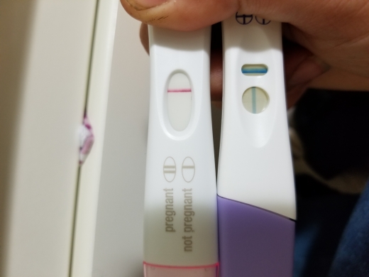 Home Pregnancy Test