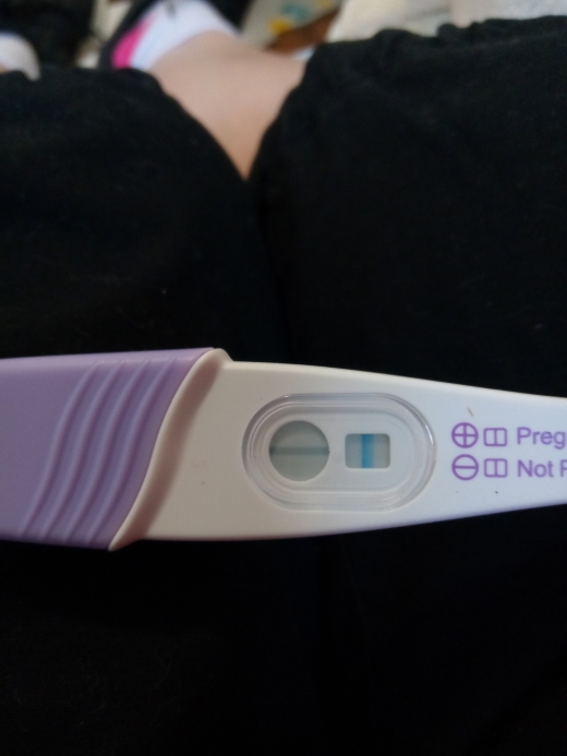 e.p.t. Pregnancy Test