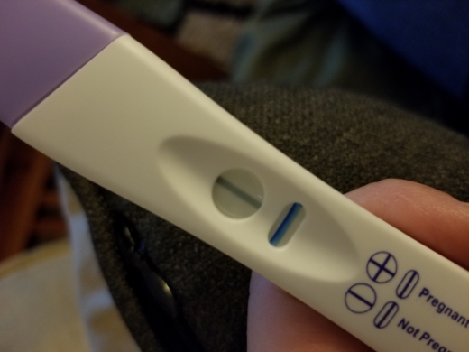 Home Pregnancy Test