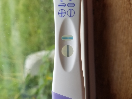 Home Pregnancy Test, FMU