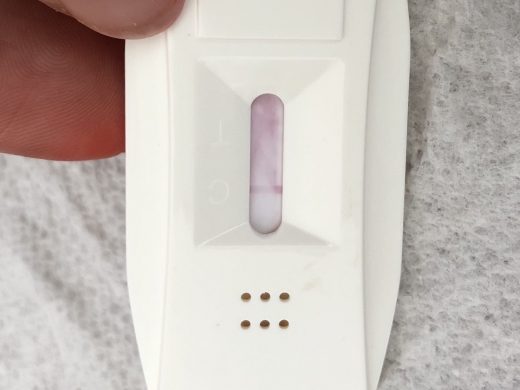 Generic Pregnancy Test, 11 Days Post Ovulation