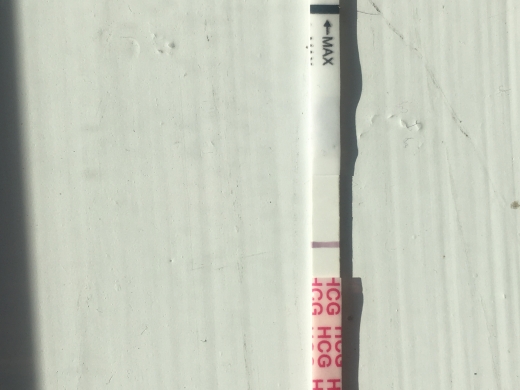 Wondfo Test Strips Pregnancy Test, Cycle Day 25