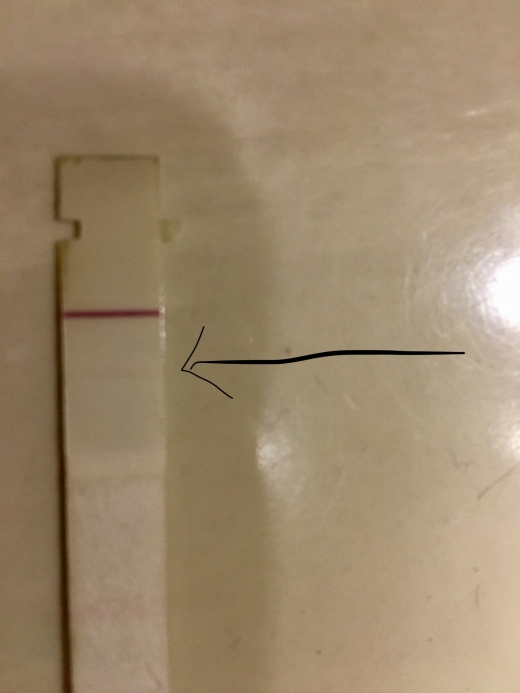 Home Pregnancy Test