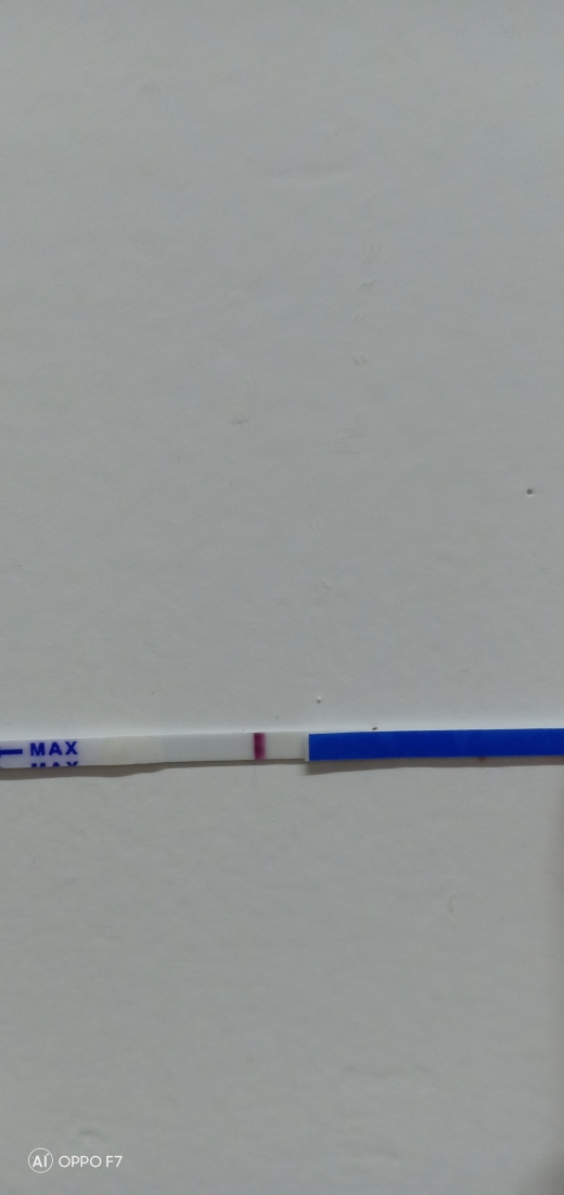 Home Pregnancy Test, 10 Days Post Ovulation, FMU