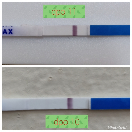Home Pregnancy Test