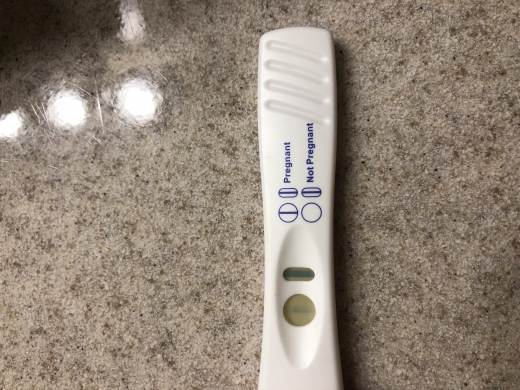 Home Pregnancy Test