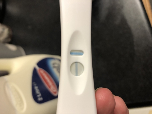 Home Pregnancy Test