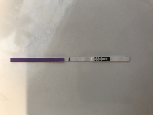 Home Pregnancy Test, Cycle Day 28
