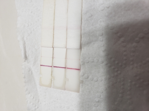 First Response Early Pregnancy Test, 11 Days Post Ovulation, FMU