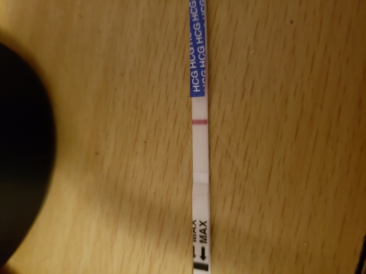 Home Pregnancy Test