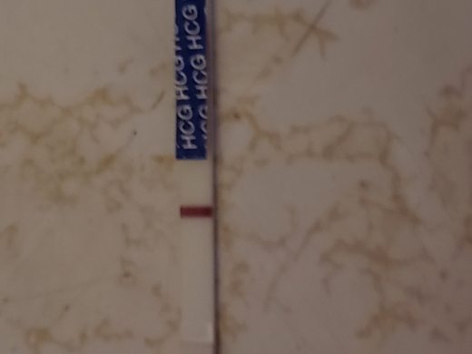 Home Pregnancy Test