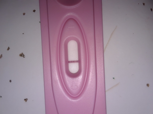 New Choice (Dollar Tree) Pregnancy Test, FMU, Cycle Day 31