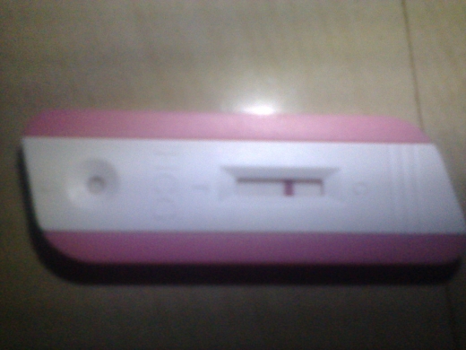 Home Pregnancy Test