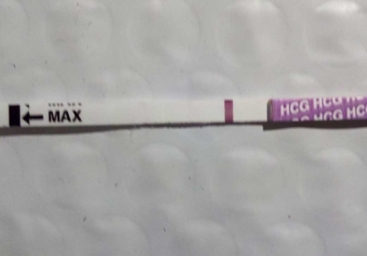 SurePredict Pregnancy Test, FMU
